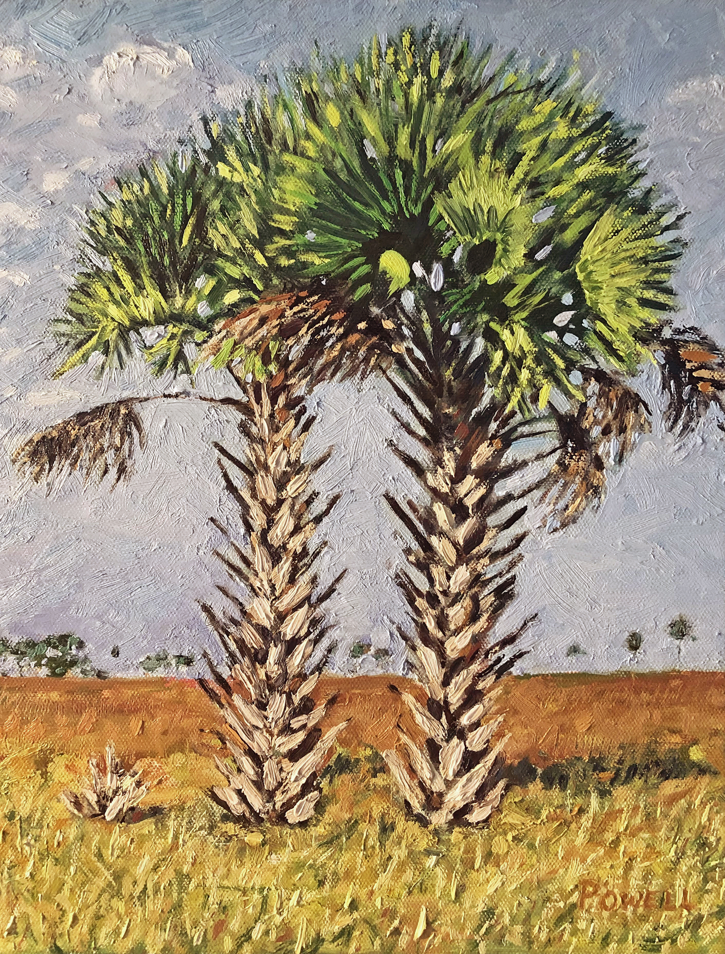 Palms at the Head of Trout Creek (Cedar Key, FL)